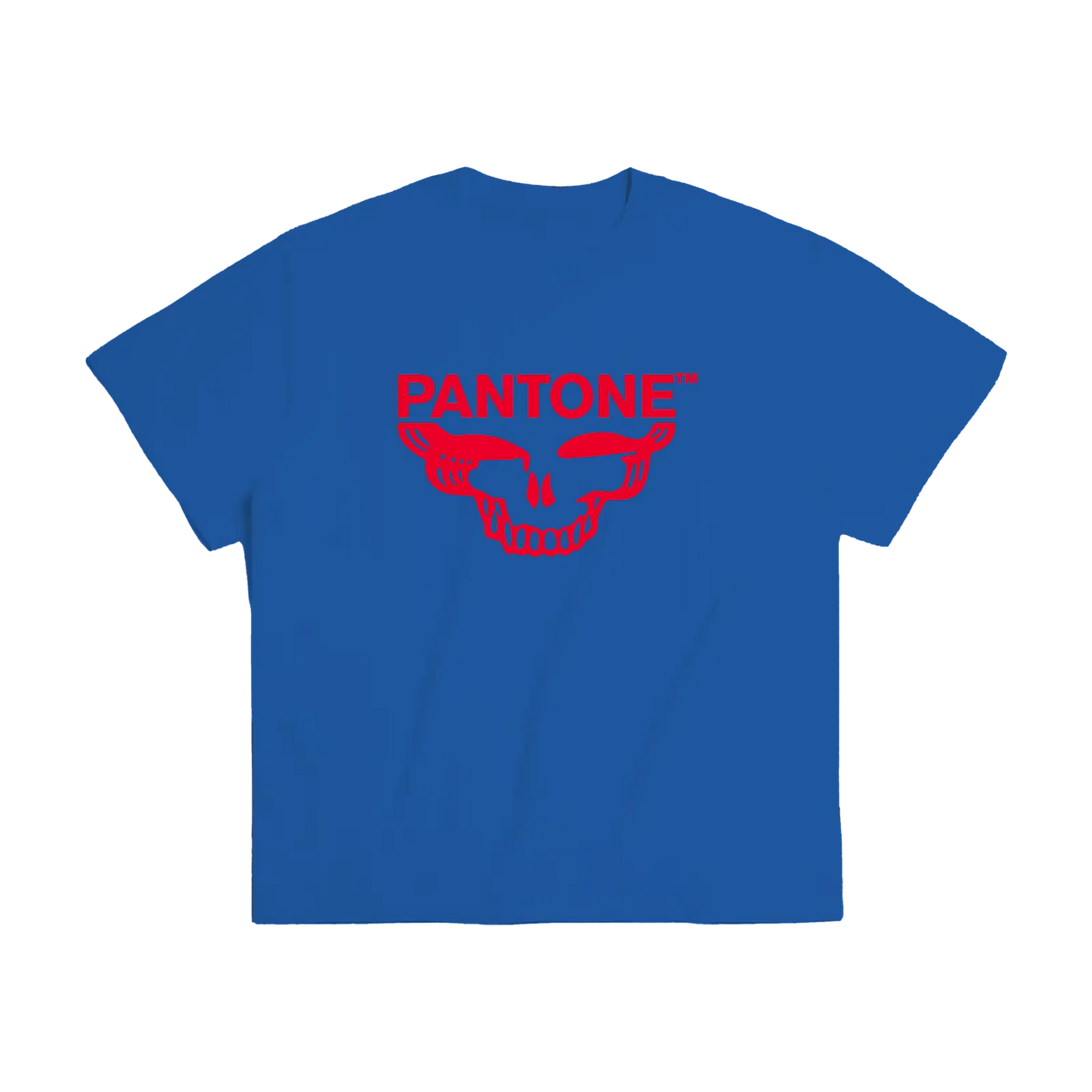 Grateful Red SYF Stealie Blue T-Shirt