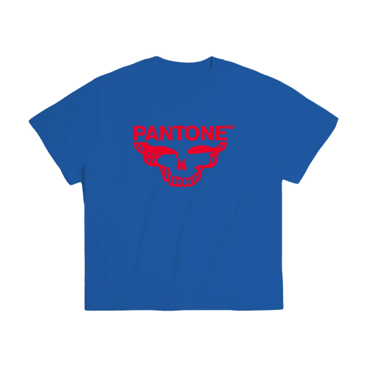 Grateful Red SYF Stealie Blue T-Shirt