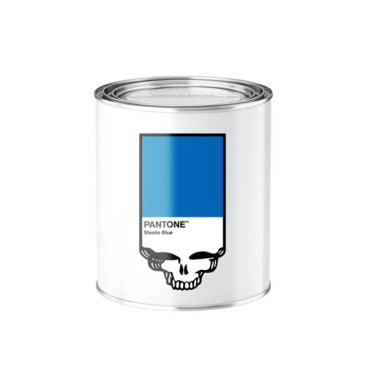 Stealie Blue Paint Can-dle