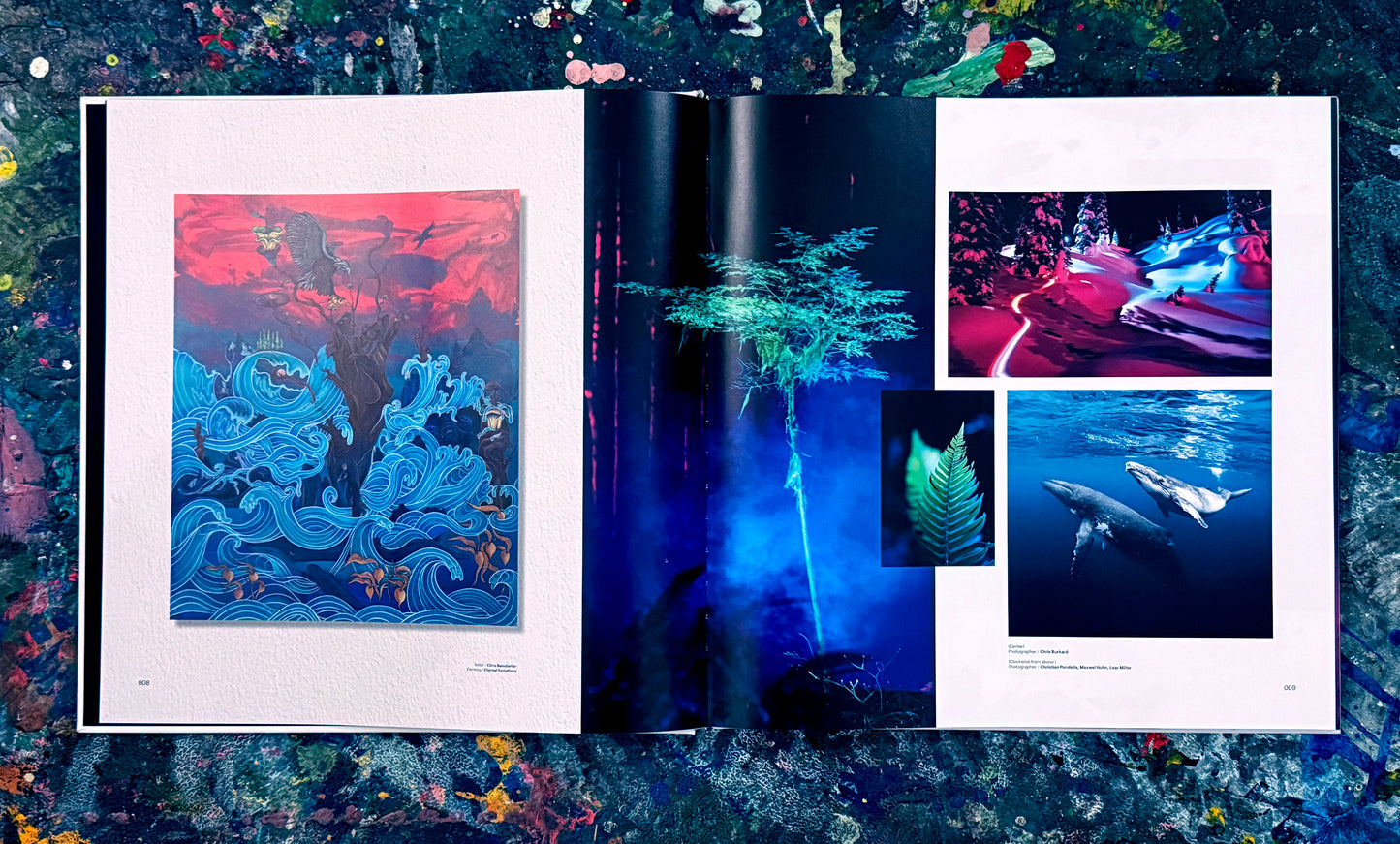 Collector’s Edition Mountains of the Moon Art Book