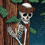 Shoreline Amphitheatre, Mountain View, CA 6/14/22 [Digital Download]