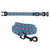Bolt Pet Collar & Leash Set