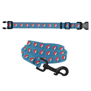 Bolt Pet Collar & Leash Set