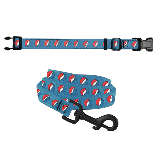 Bolt Pet Collar & Leash Set