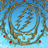 Lockn' Festival, Arrington, VA, 8/26/2018 Digital Album (Live) FLAC
